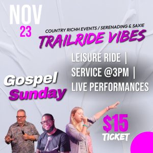 Per Day standard rate (Sunday)